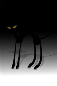 Skinny Black Cat In The Dark