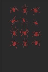 Spider Collection