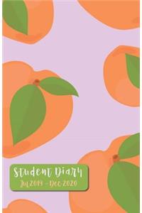 Student Diary Jul 2019 - Dec 2020