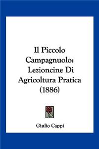 Piccolo Campagnuolo