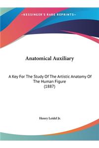 Anatomical Auxiliary