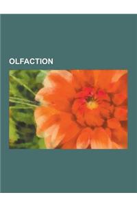 Olfaction