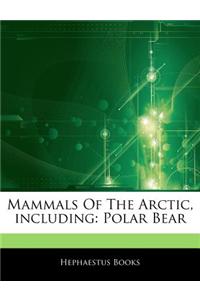 Articles on Mammals of the Arctic, Including: Polar Bear