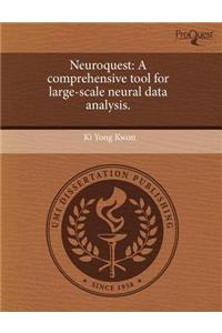 Neuroquest: A Comprehensive Tool for Large-Scale Neural Data Analysis