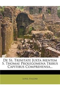 de SS. Trinitate Juxta Mentem S. Thomae Prolegomena Tribus Capitibus Comprehensa...