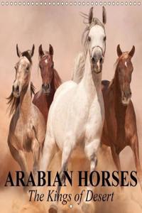 Arabian Horses * the Kings of Desert 2018