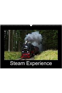 Steam Experience 2018