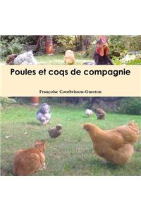 Poules Et Coqs de Compagnie