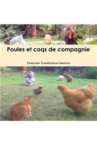 Poules Et Coqs De Compagnie