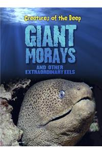Giant Morays and Other Extraordinary Eels