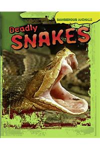 Deadly Snakes