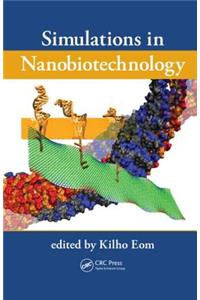 Simulations in Nanobiotechnology