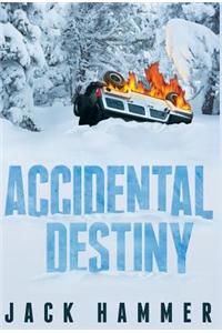 Accidental Destiny