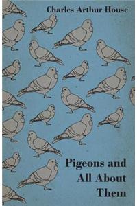 Pigeons and All about Them