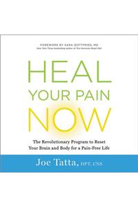 Heal Your Pain Now Lib/E