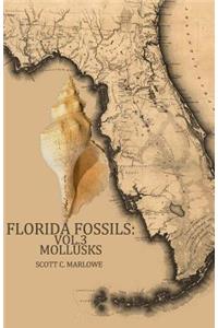 Florida Fossils