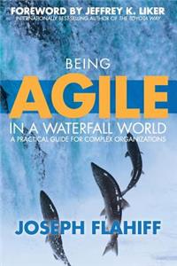 Being Agile in a Waterfall World