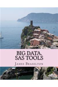 Big Data. SAS Tools