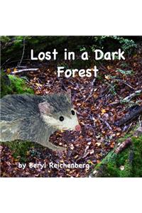 Lost in a Dark Forest