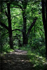 Woodland Path Journal