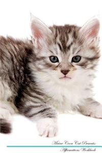 Maine Coon Cat Affirmations Workbook Maine Coon Cat Presents