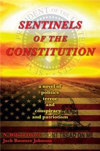 Sentinels of The Constitution: a novel of politics terror and conspiracy... and patriotism