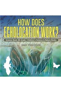 How Does Echolocation Work? Science Book 4th Grade Children's Science & Nature Books