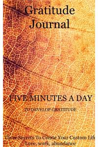 Gratitude Journal 5 minutes a day to develop gratitude Three Secrets To Create Your Custom Life Love, work, abundance