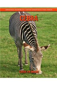 Cebra