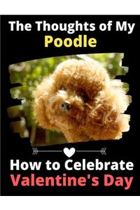 Thoughts of My Poodle