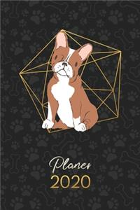 Planer 2020