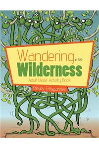 Wandering in the Wilderness