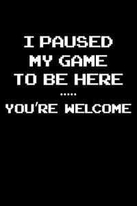 I Paused My Game to be Here