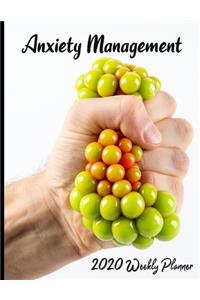 Anxiety Management 2020 Weekly Planner
