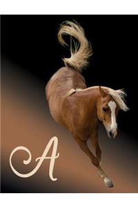 Horse Initial 'a' Monogram Notebook