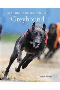 Training and Racing the Greyhound