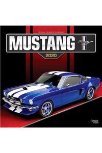 Mustang 2020 Square Foil