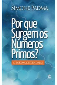 Por Que Surgem OS Numeros Primos?