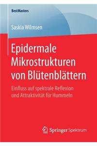 Epidermale Mikrostrukturen von Blütenblättern