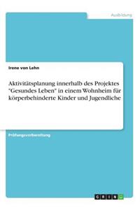 Aktivitätsplanung innerhalb des Projektes 