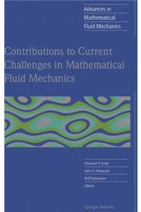 Contributions to Current Challenges in Mathematical Fluid Mechanics