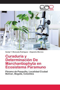 Curaduría y Determinación De Marchantiophyta en Ecosistema Paramuno