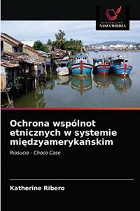 Ochrona wspólnot etnicznych w systemie międzyamerykańskim