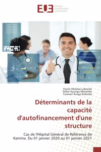 Déterminants de la capacité d'autofinancement d'une structure