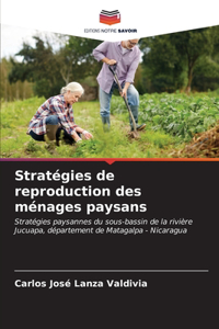 Stratégies de reproduction des ménages paysans