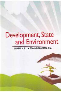 Development State And Environment