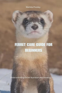 Ferret Care Guide for Beginners