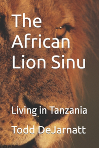 African Lion Sinu