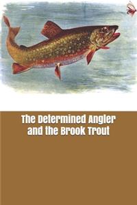 The Determined Angler and the Brook Trout
