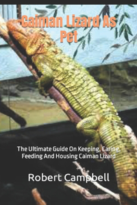 Caiman Lizard As Pet